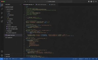 Custom WordPress Plugin Development